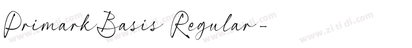 PrimarkBasis Regular字体转换